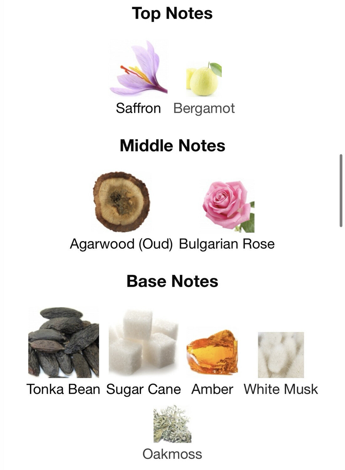 Montale Arabians Tonka EDP