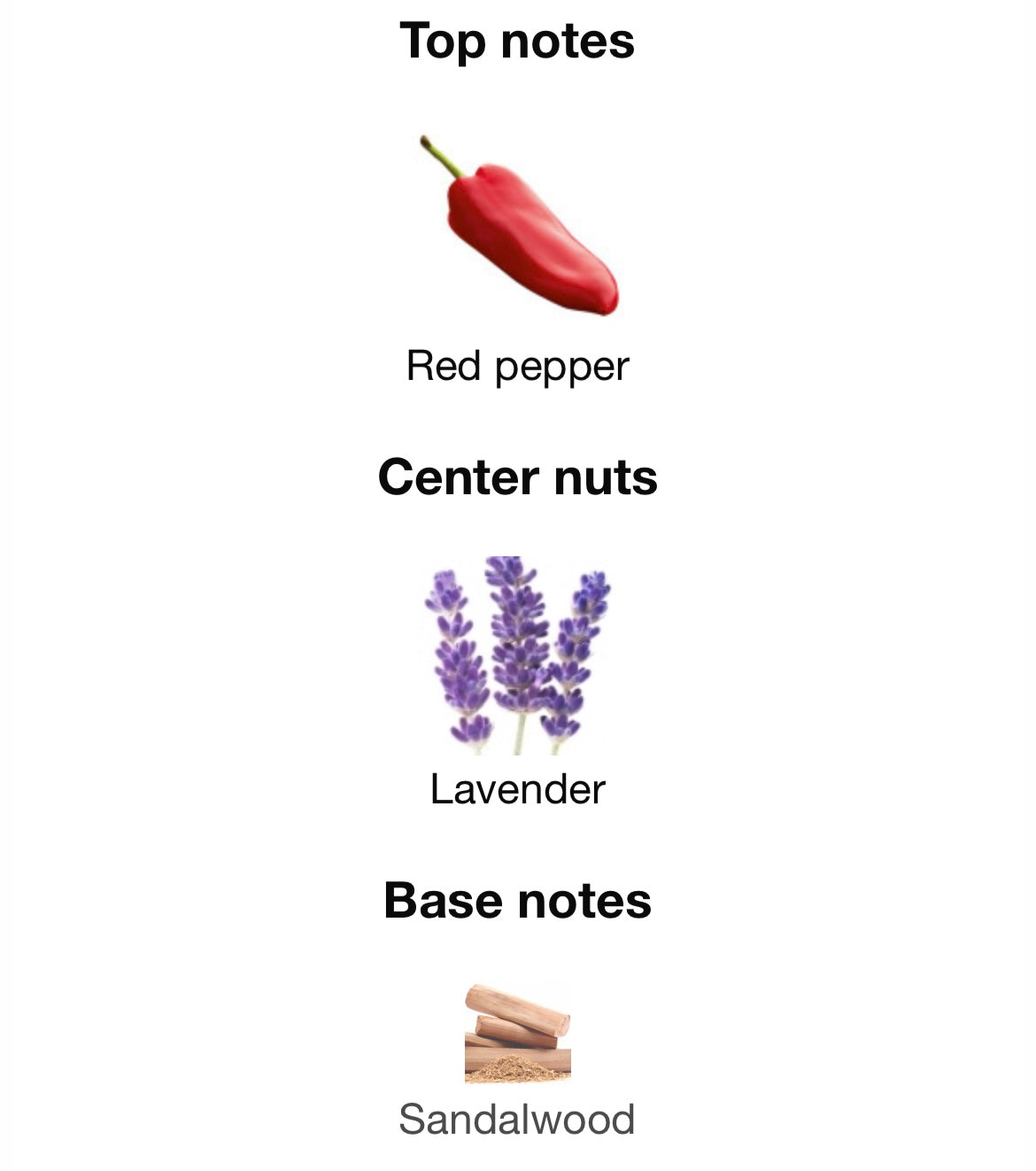 Hugo Boss The Scent Elixir