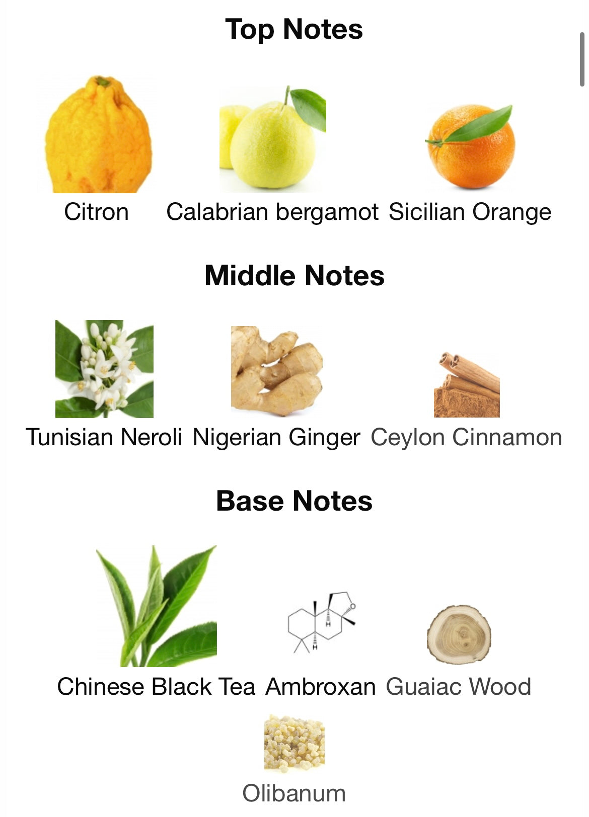 Louis Vuitton Imagination