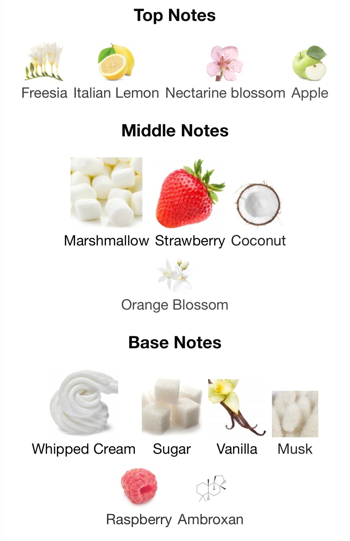 Kayali Yum Boujee Marshmallow 81