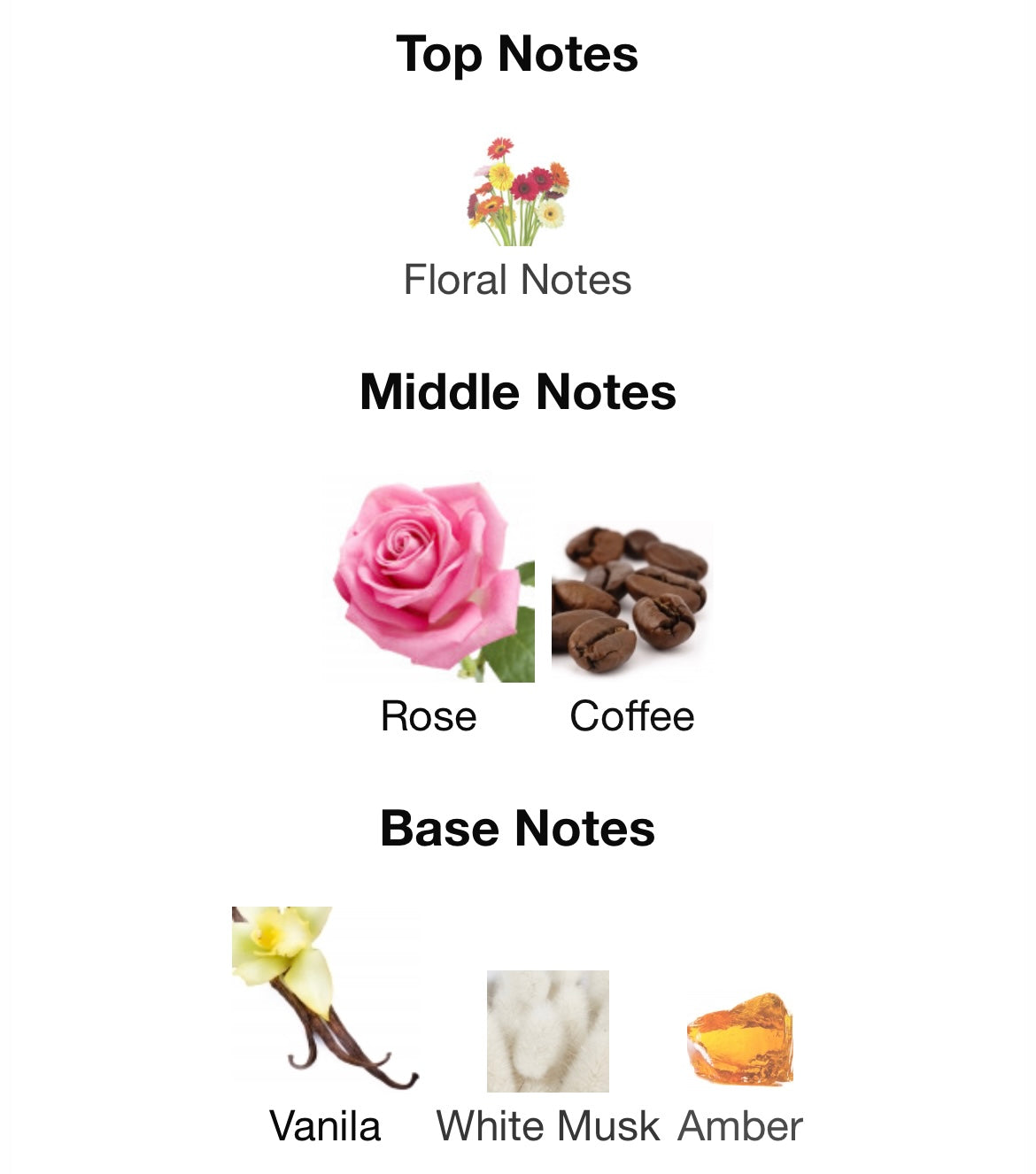 Montale Intense Cafe EDP