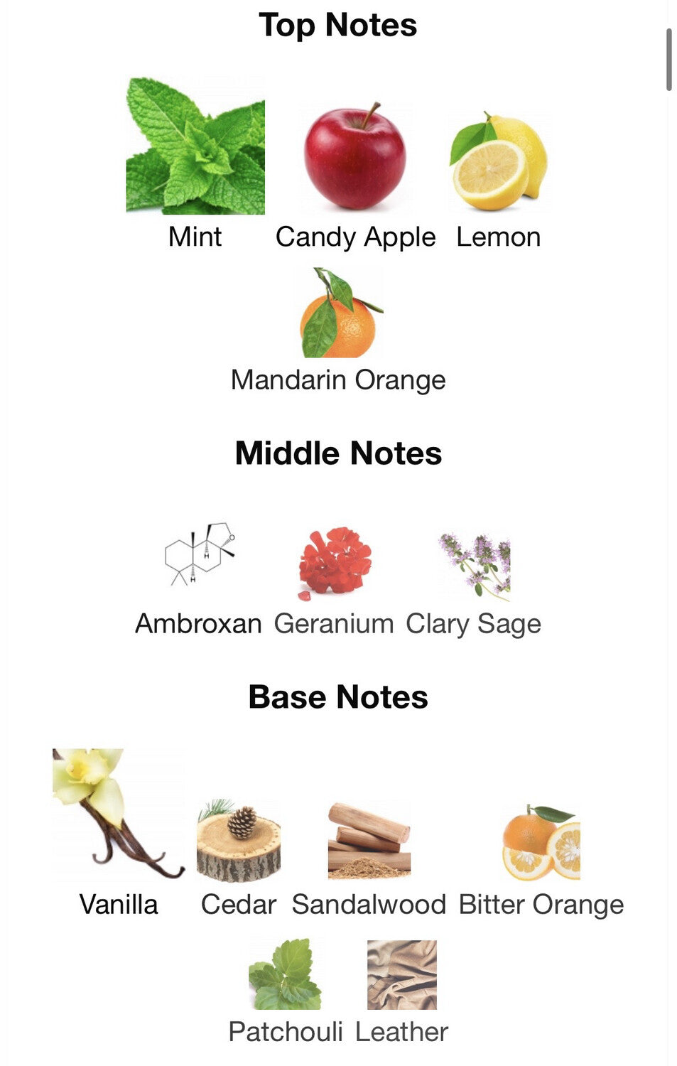 Versace Eros Eau de Parfum