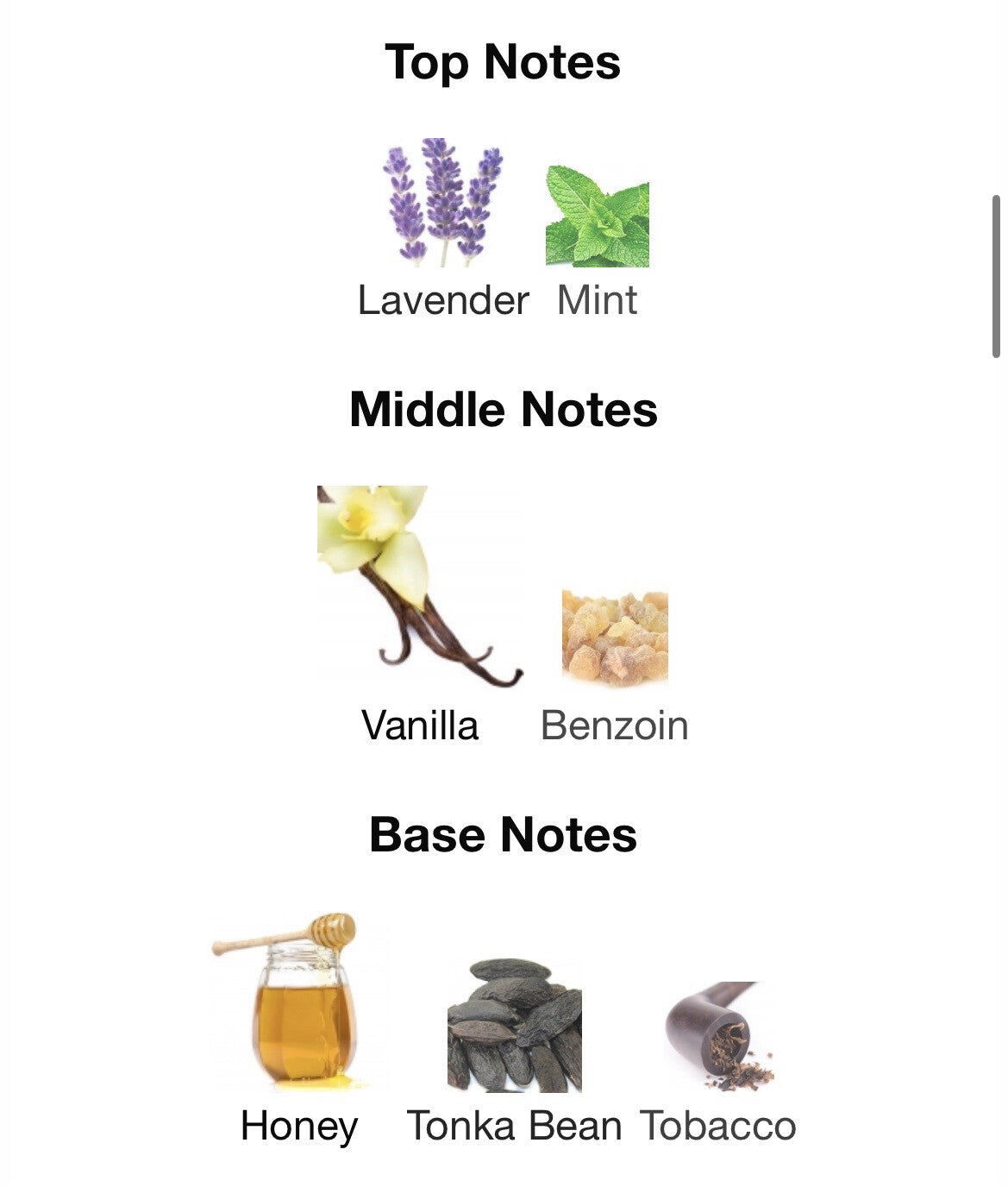 Jean paul Gaultier Le Male Elixir