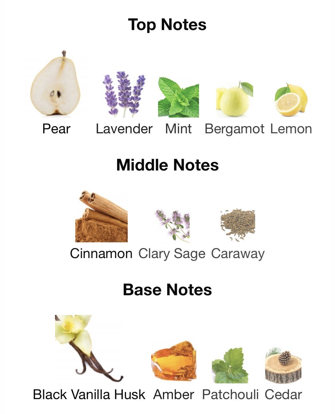 Jean Paul Gaultier Ultra Male