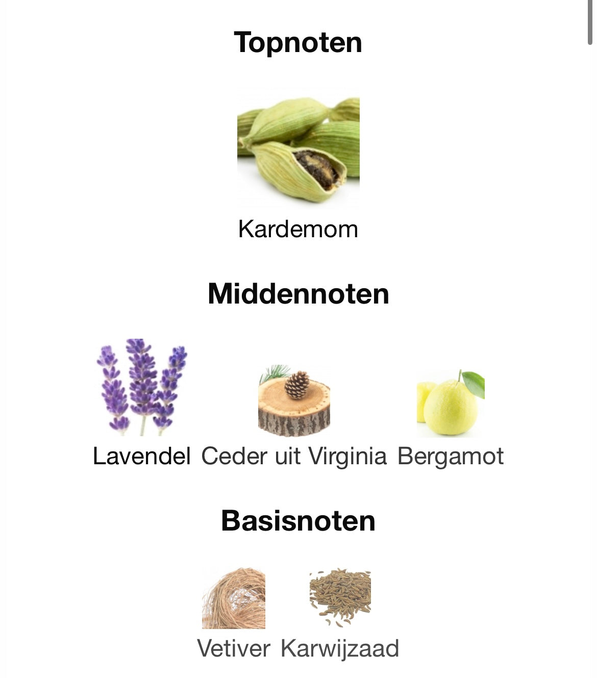 YSL La Nuit de L'Homme