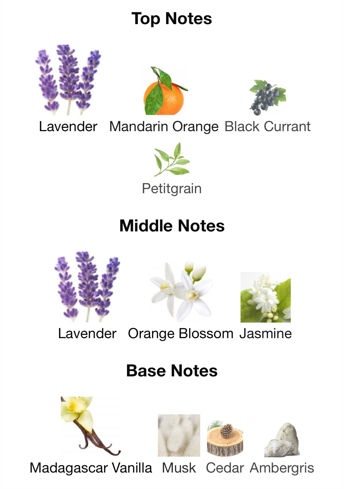 Libre Eau de Parfum Yves Saint Laurent