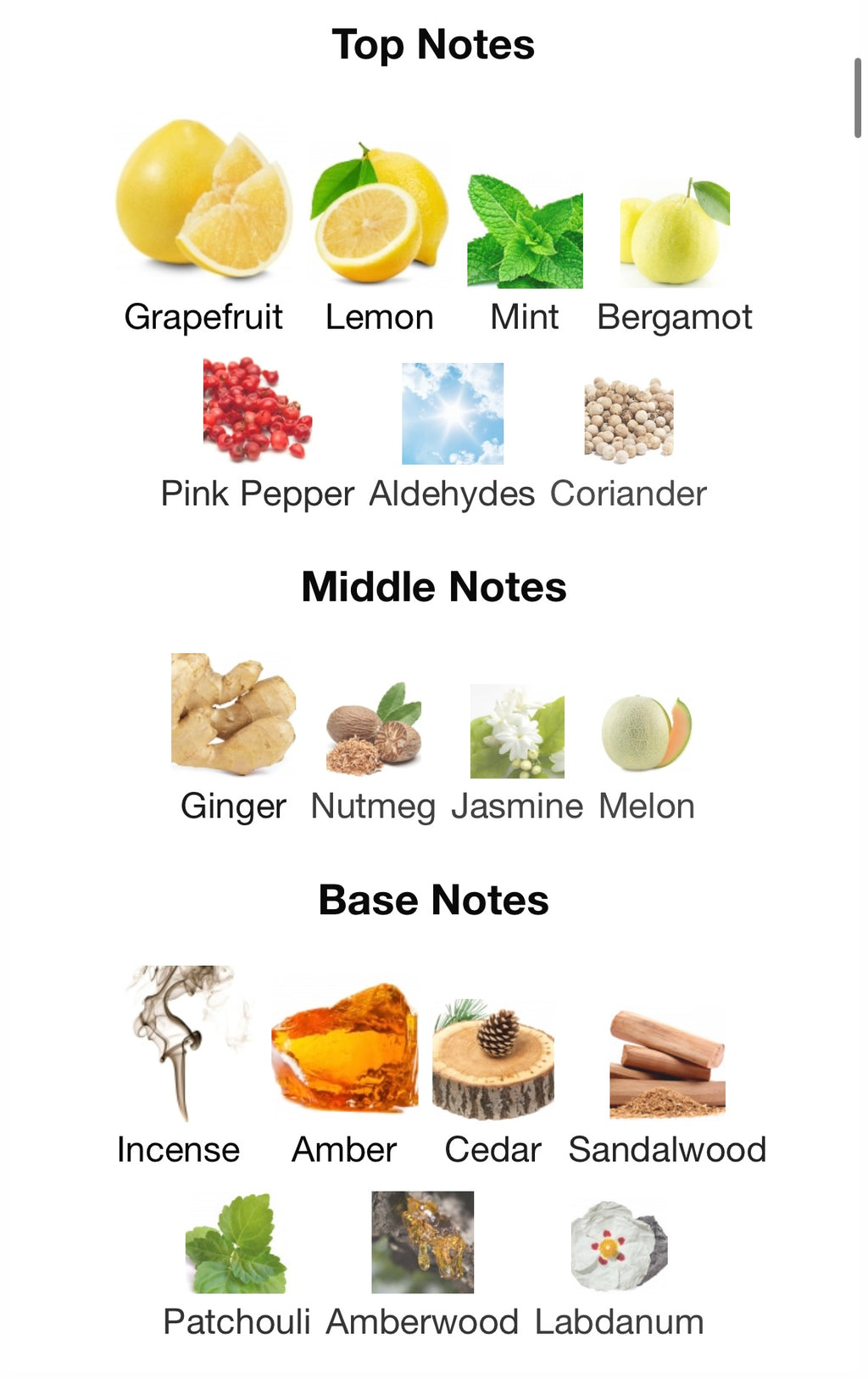 Chanel Bleu de Chanel EDP